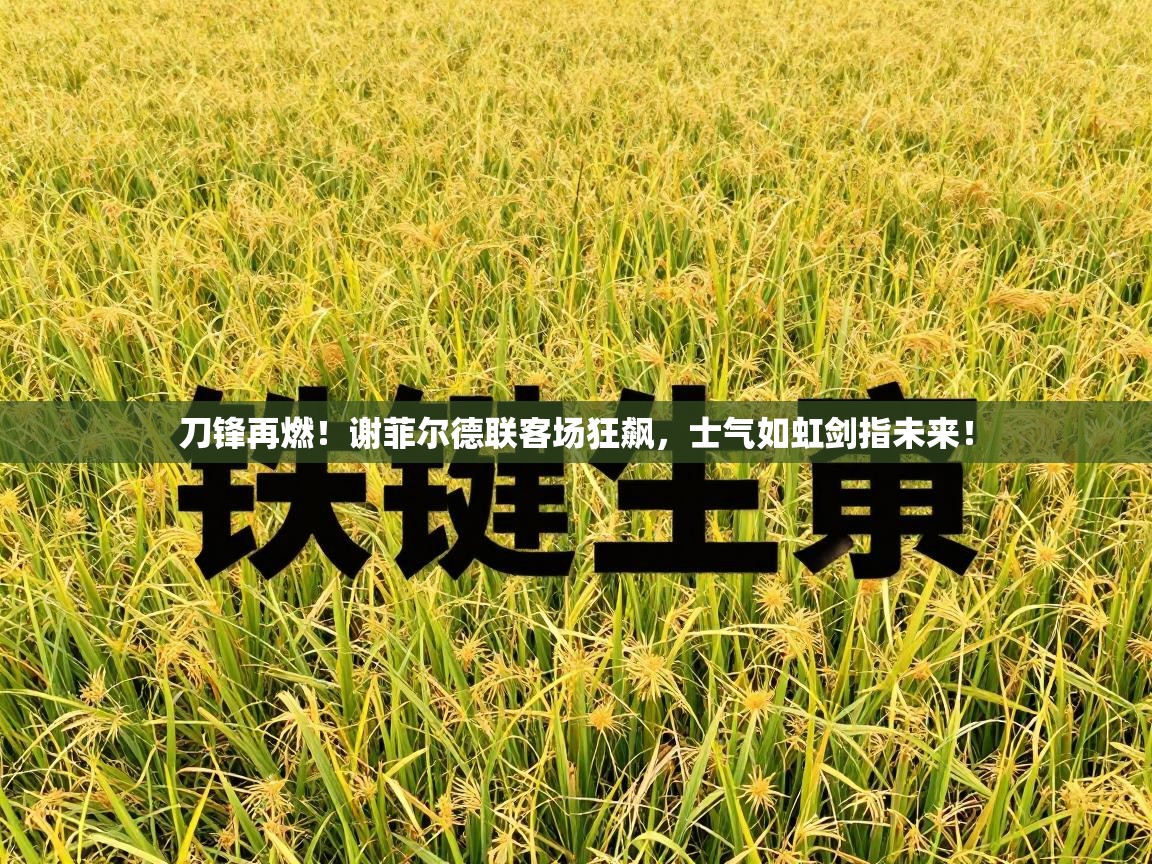 刀锋再燃！谢菲尔德联客场狂飙，士气如虹剑指未来！  第2张